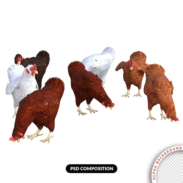 PSD pollo renderizado 3d premium psd
