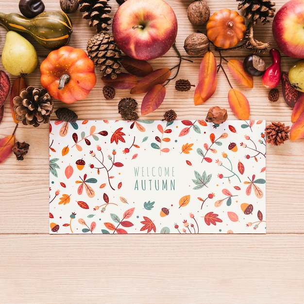Pommes et pommes de pin avec carte colorée