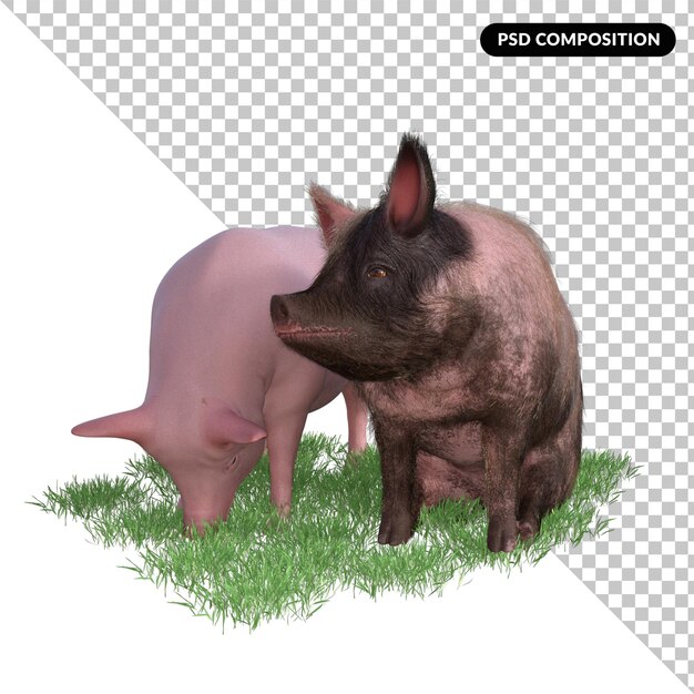 PSD porco em uma grama isolada 3d