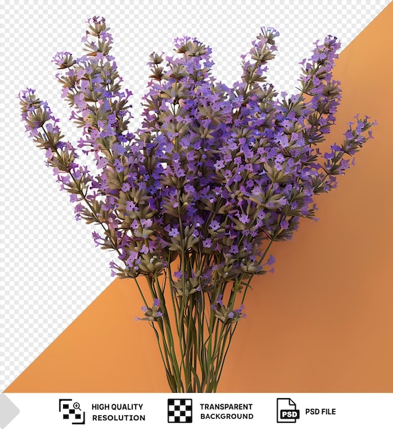 Porträt von lavendelblumen in einer durchsichtigen glasvase gegen einen orangefarbenen hintergrund png psd