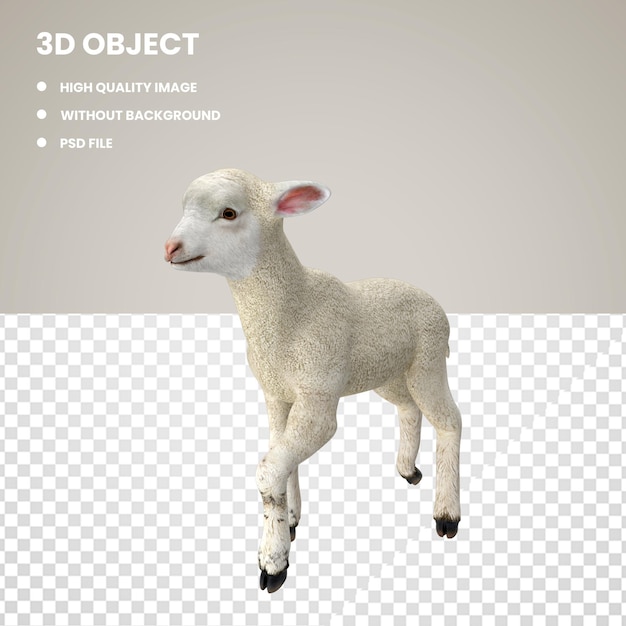Posa dell'agnello 3d