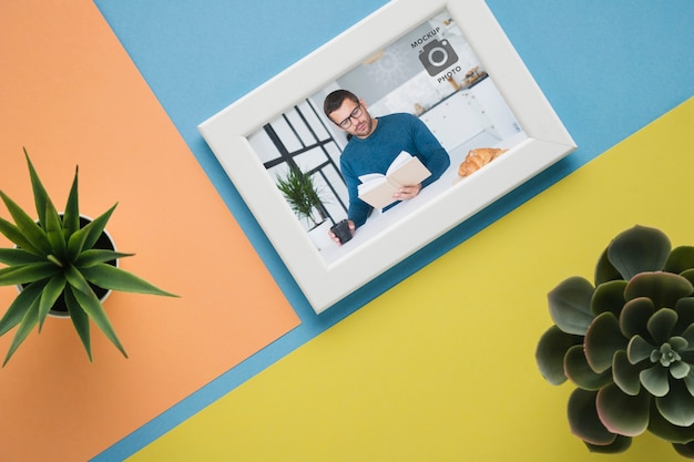 Posa piatta del telaio minimalista con scculenti