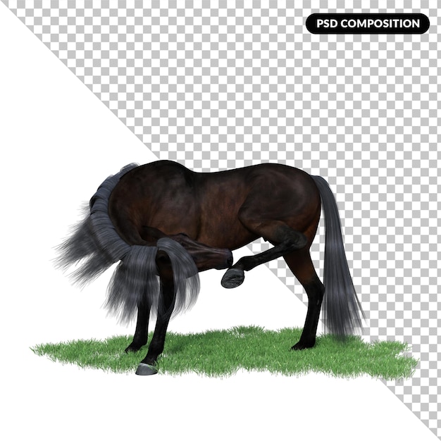 PSD pose de cheval rendu 3d premium isolé