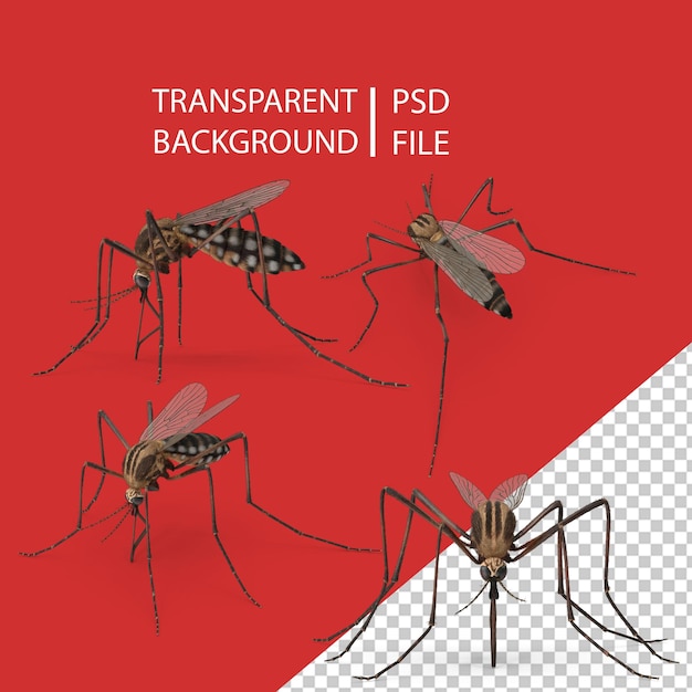 Pose Do Mosquito PNG