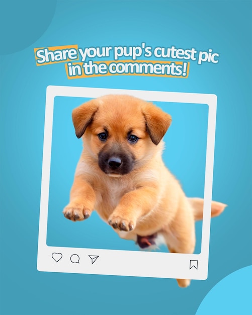 PSD post de cão nas redes sociais puppy