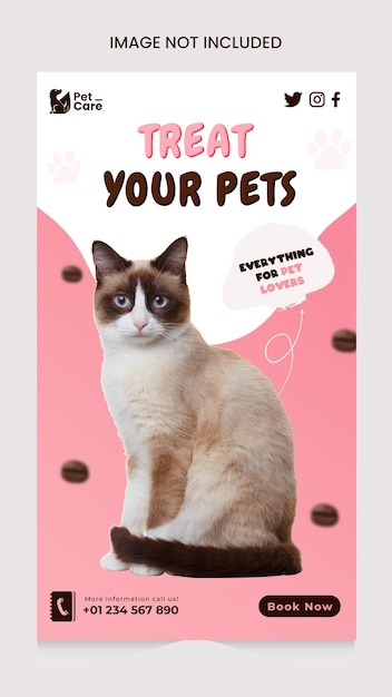 Post de mídia social de comida de gato e modelo de Instagram para animais de estimação