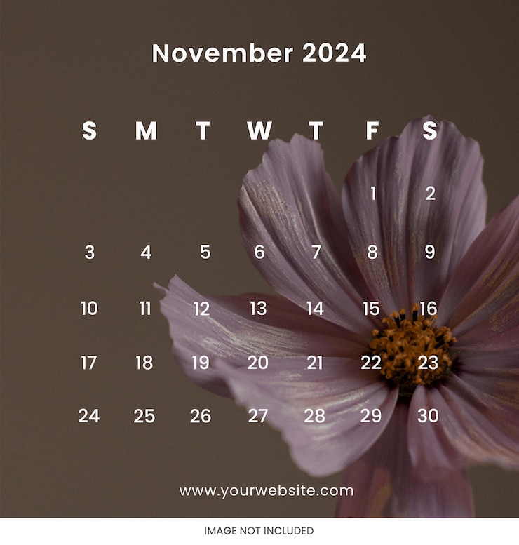 PSD post d'instagramme psd calendrier carré novembre 2024 modèle de conception calendrier planificateur 2024.