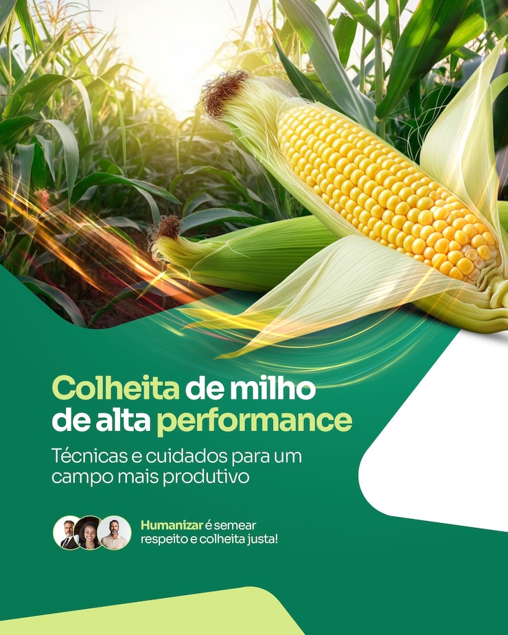 PSD postagem em redes sociais para agronegocio postagem nas redes sociais para o agronegócio