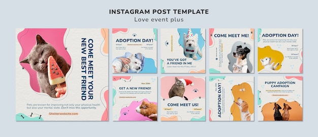 PSD postagens do instagram de adoção de animais de estimação