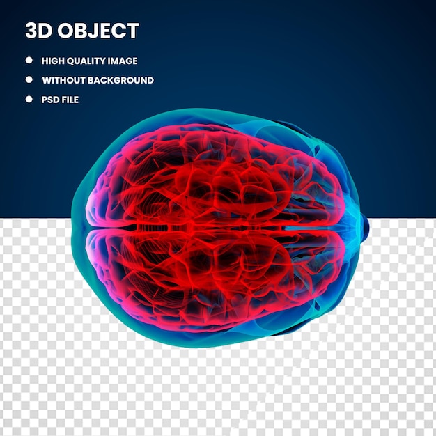 PSD un póster de un cerebro con el título de objeto 3d.