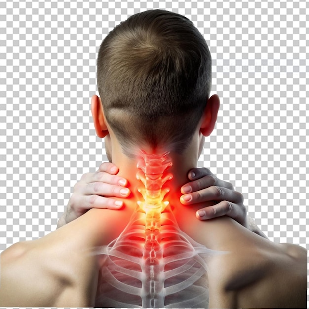 PSD poster médico anatomia da coluna vertebral humana a imagem dos ossos em fundo transparente