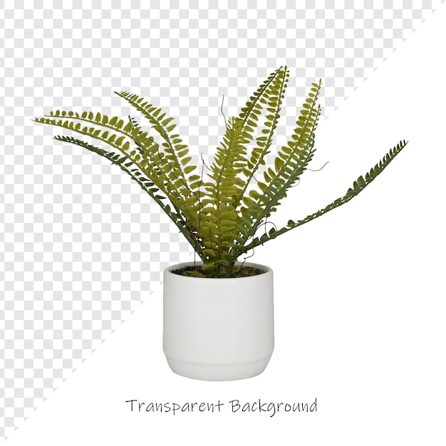 un pot blanc avec une plante dessus qui dit transparent