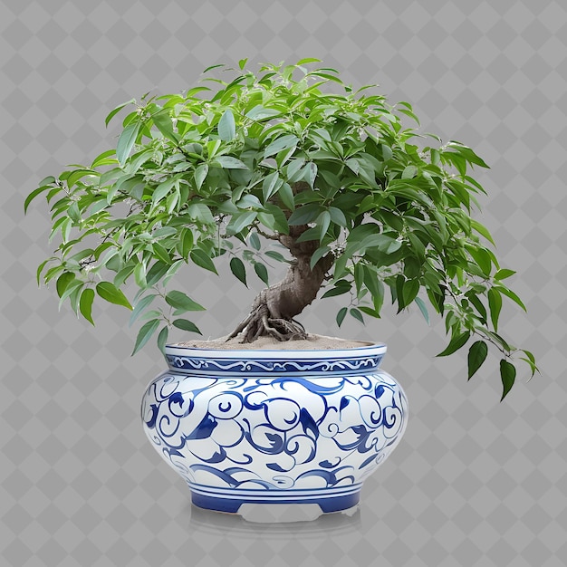 PSD un pot bleu et blanc avec une plante dedans