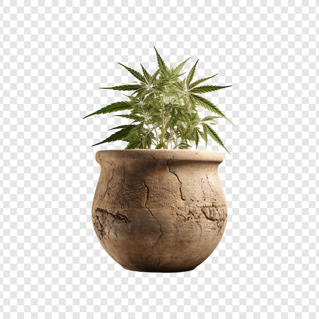 PSD pot isolé sur fond transparent