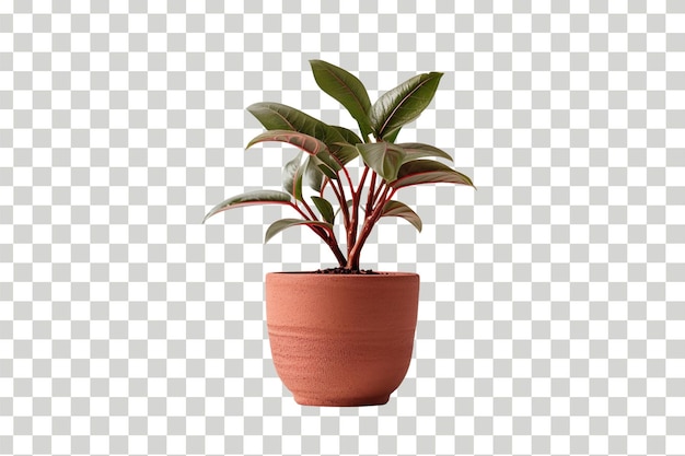 Pot De Plantes 3d Réaliste