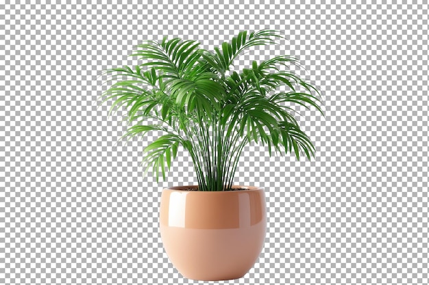 Potes de plantas de interior coloridos para interiores vibrantes aislados sobre un fondo transparente