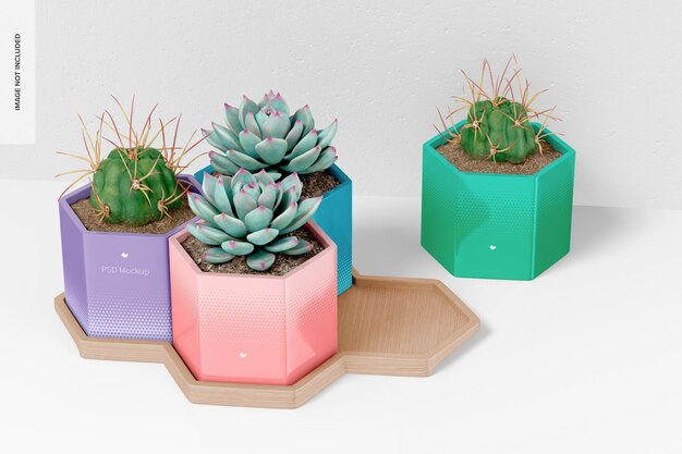 PSD pots hexagonaux avec maquette de plateau en bambou, vue de dessus