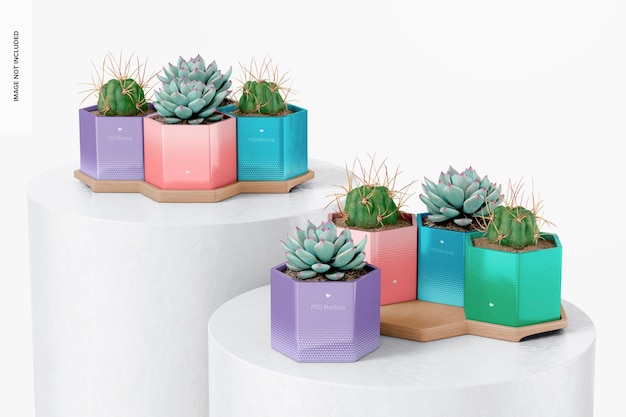 Pots Hexagonaux Avec Plateau En Bambou Sur Maquette De Podiums