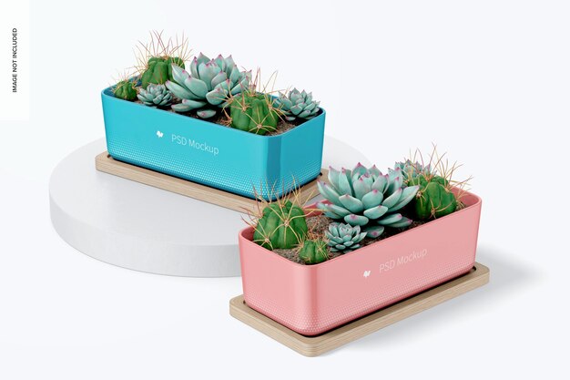 PSD pots rectangulaires avec maquette de plateau en bambou, perspective