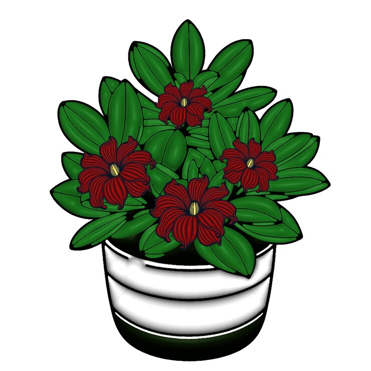 PSD potted plant with red flowers