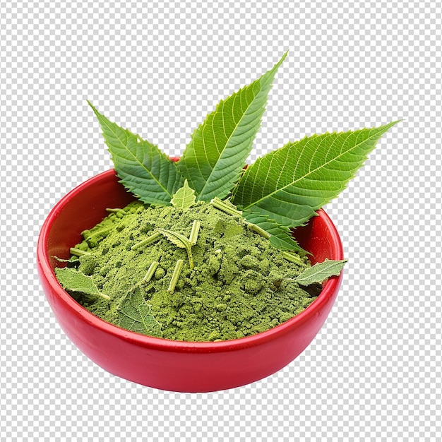 PSD poudre de feuilles de neem dans un bol rouge isolée sur un fond transparent