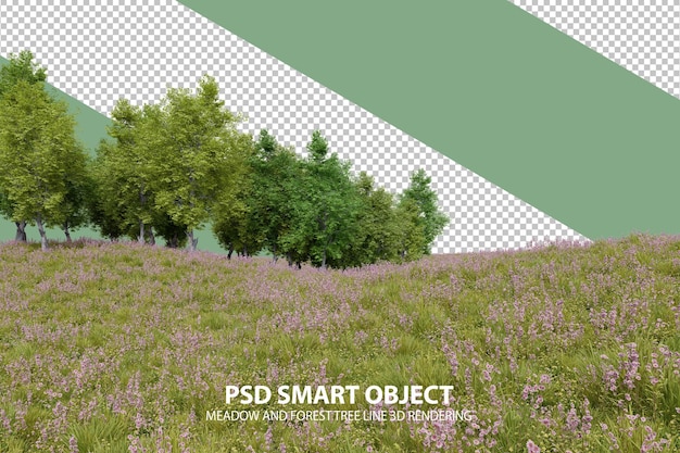 Prado realista e linha de árvore da floresta renderização 3d de objetos isolados