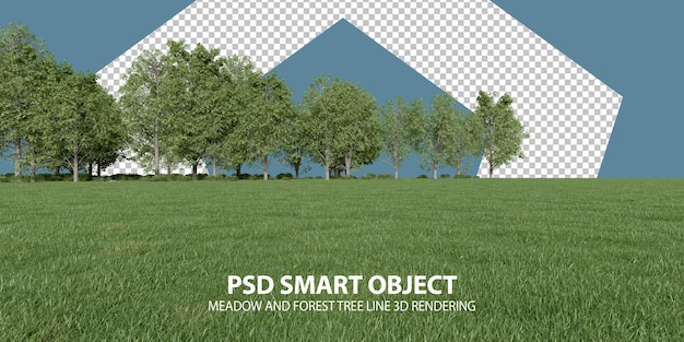 Prado realista e linha de árvore da floresta renderização 3d de objetos isolados