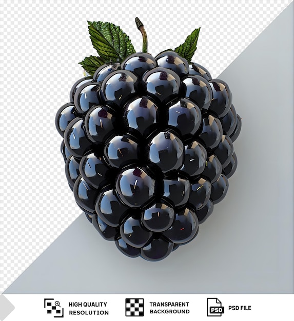 Premium De Fruits De Myrtille Frais Et De Feuilles Vertes Disposés En Forme De Cœur Sur Un Fond Transparent Png Psd