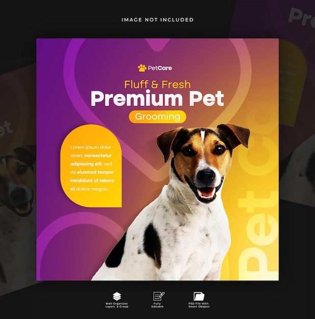 Premium Pet Grooming Post de mídia social ou design de postagem no Instagram
