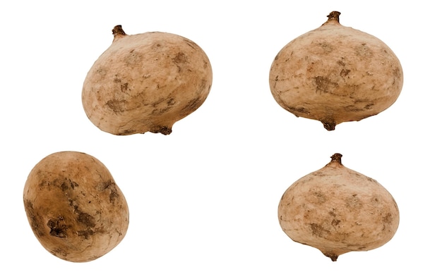Primer plano de cuatro raíces frescas de jicama