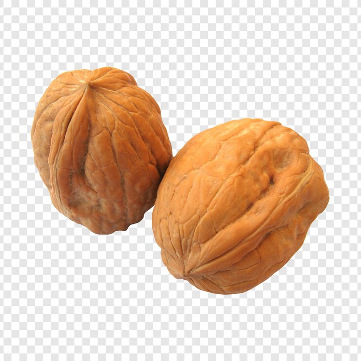 PSD primer plano de dos nueces que muestran detalles de la concha