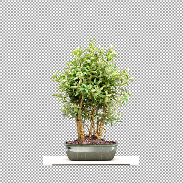Un primer plano de una flor en un jarrón en 3D