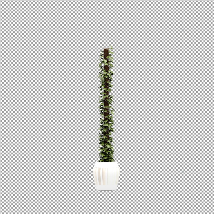 PSD un primer plano de una flor en un jarrón en 3d