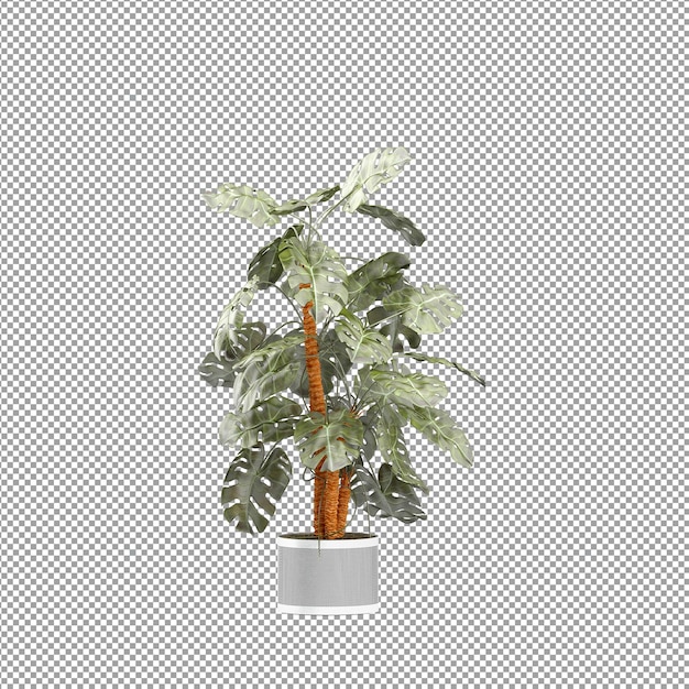 Un primer plano de una flor en un jarrón en 3D