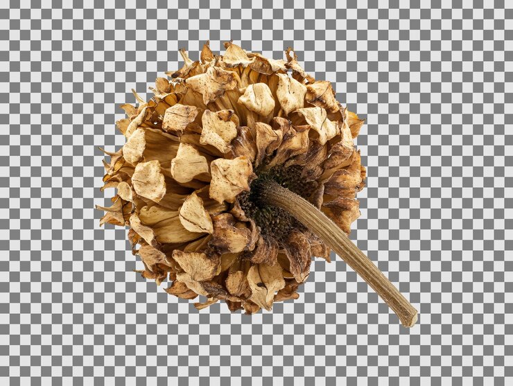 PSD un primer plano de una flor