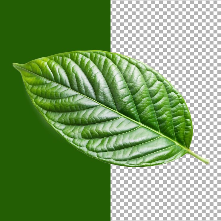 Primer plano de una hoja verde vibrante con una textura detallada