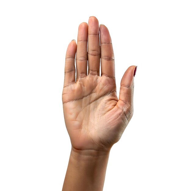 Un primer plano de una mano