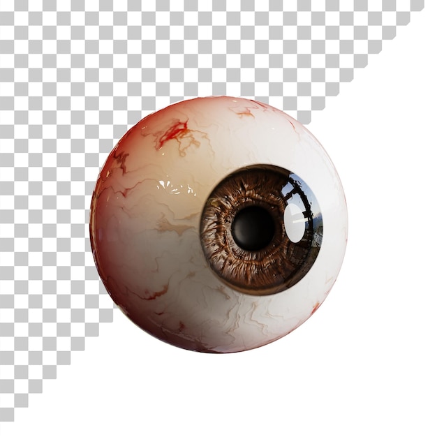 Primer plano del ojo humano Globo ocular humano realista con iris marrón supermacro 3d render