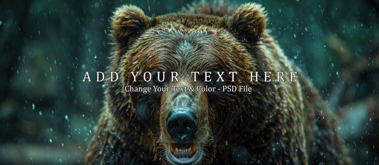 PSD el primer plano de un oso