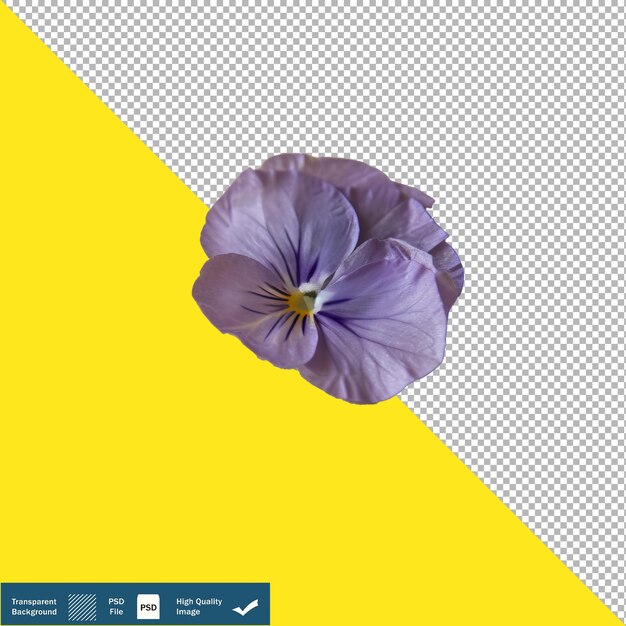 PSD primer plano de una pequeña pegatina de flor presionada púrpura de fondo transparente png psd