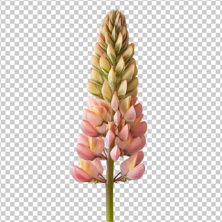 PSD primer plano de una planta con flores púrpuras contra