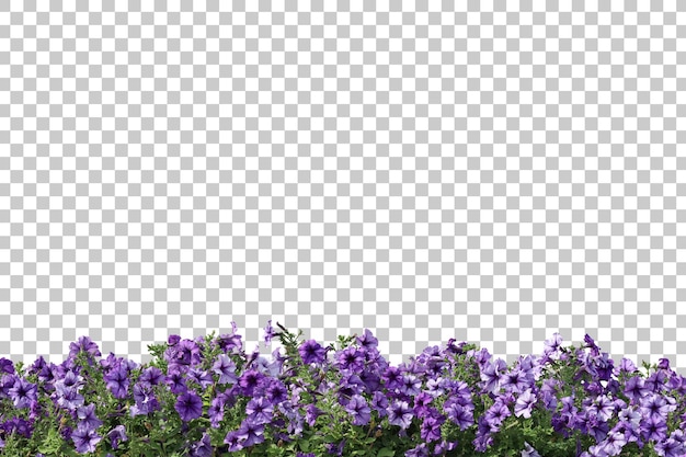 Primer plano de plantas con flores realistas aislado