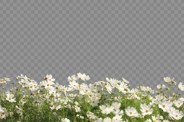 Primer plano de plantas con flores realistas aislado