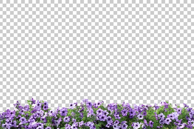 Primer plano de plantas con flores realistas aislado
