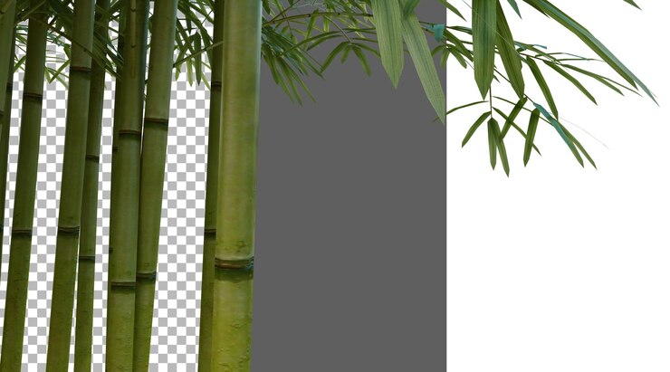 PSD un primer plano de un tronco de bambú en un fondo transparente en png 3d