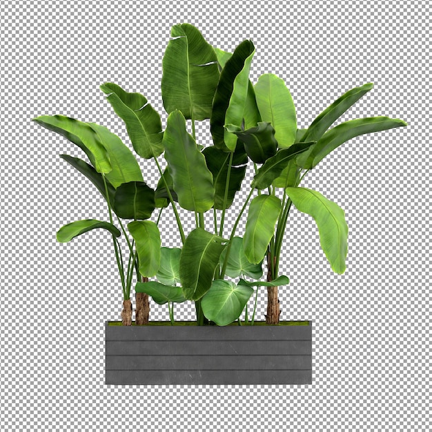Primo piano su un fiore in un vaso 3d rendering