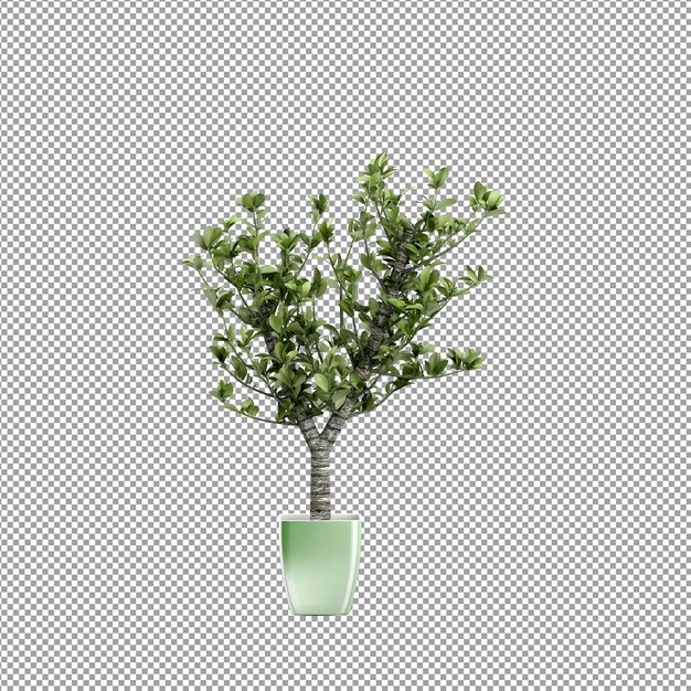 Primo piano su un fiore in un vaso 3d rendering