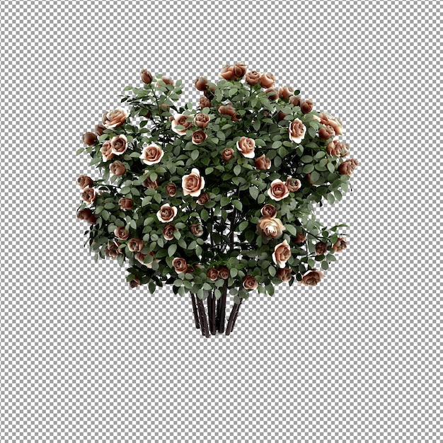 Primo piano su un fiore in un vaso in rendering 3d