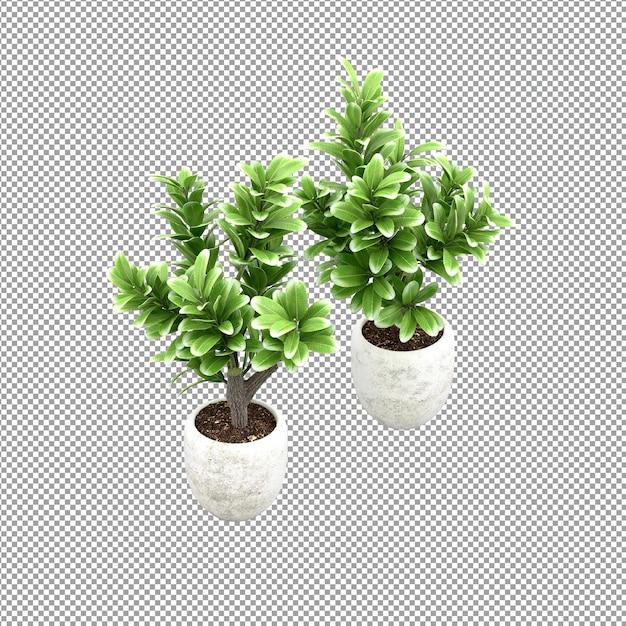 Primo piano su un fiore in un vaso in rendering 3d