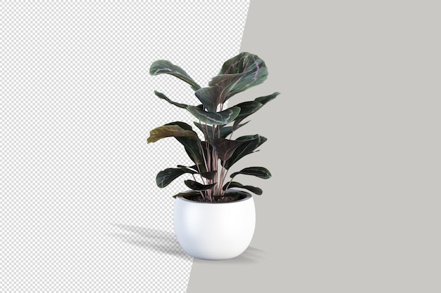 Primo piano sul fiore nel rendering 3d interno del vaso